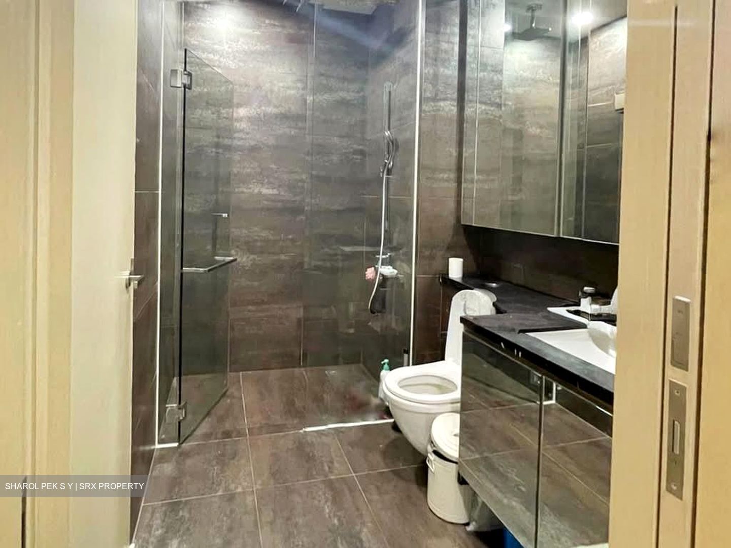 The Boutiq (D9), Apartment #536302291